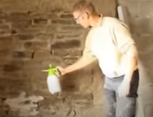 VIDEO – Lime Plastering