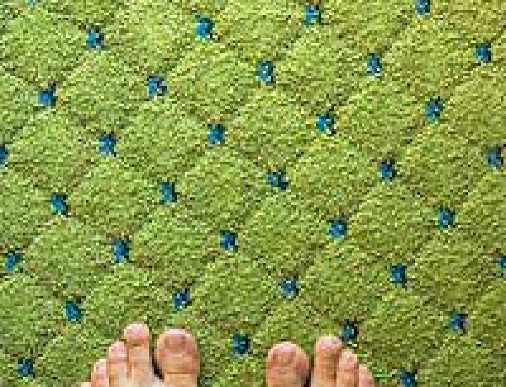 Eco Friendly Underlay Options Sustainable Build